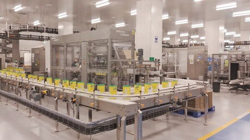 聯合利華全國首個全品類食品工廠投產，智能制造與供應鏈協同樹立新標桿