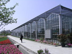北京新華農源溫室工程技術 現代農業建筑工程的創新典范
